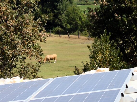 solar_images/Solar/Energy/09 Immagine 112 ce.jpg